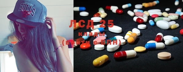 ешки Каменногорск