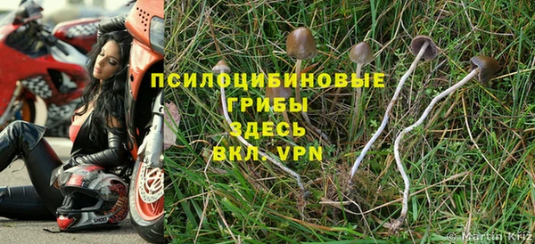 ешки Каменногорск