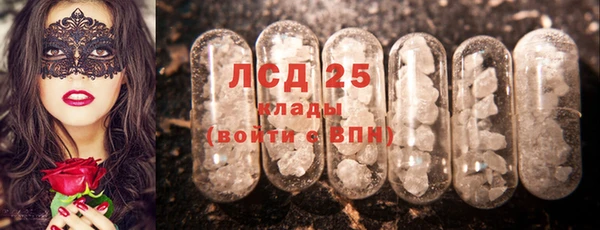 ешки Каменногорск