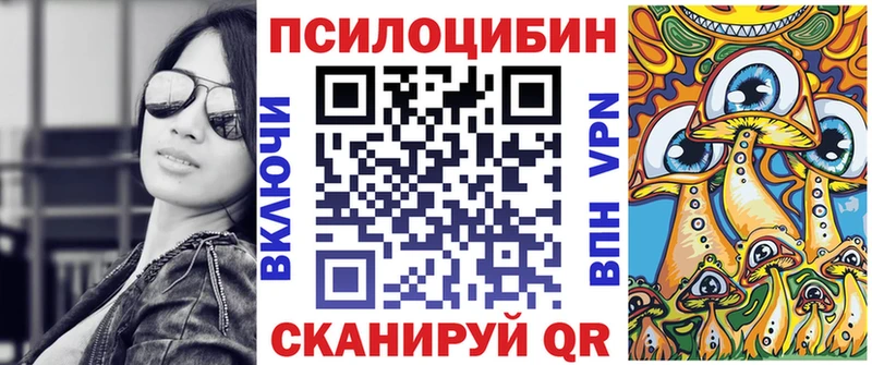 Купить  Болхов  Псилоцибиновые грибы Cubensis 