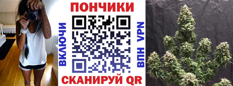 Бошки марихуана план  Купить где  Болхов 
